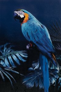Parrot in blue 