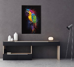 Colourful Parrot 