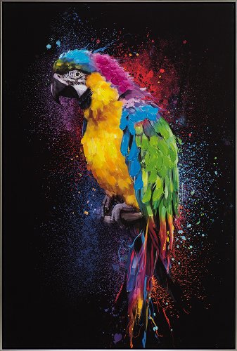Colourful Parrot 