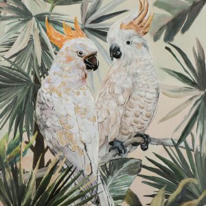 Cockatoos in love 