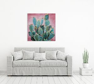green cactus in front of pink background