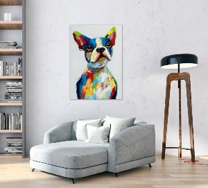 funny colorful dog 