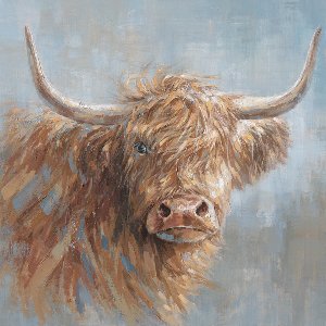 Charming Highland Cattle 