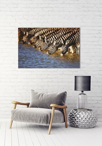 Zebras by the river 