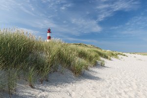 Lighthouse on the beach 