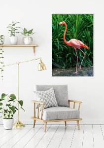 Stylish flamingo 