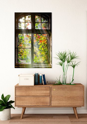 Window with leaves 