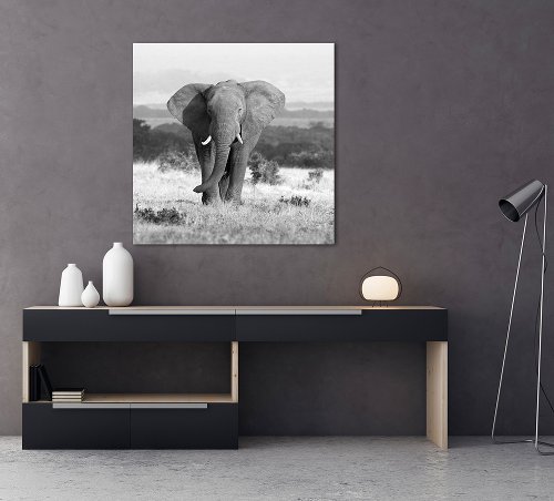 Alubild Elefant in der Steppe 