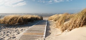 Wooden path to the sea 1 