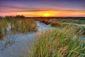 Les dunes au coucher du soleil 