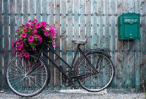 Vélo avec décoration florale 