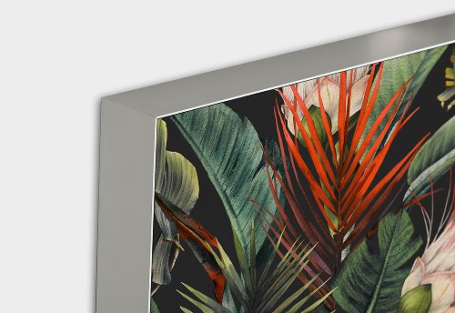 Fleurs de la jungle 