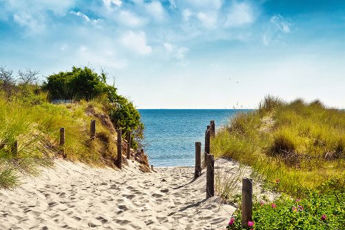 Walk to the sea 2 