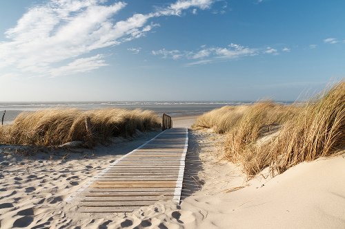Wooden path to the sea 1 
