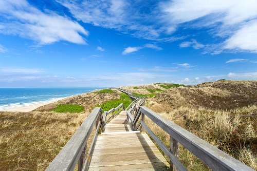 Walk through the dunes 