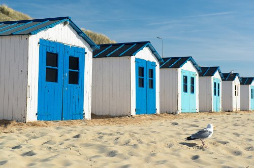 Maisons de plage 