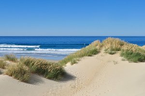 Dunes by the sea 1 