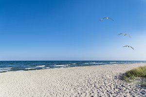 Deserted beach 