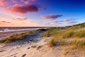 Dunes by the sea 3 