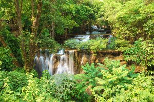 Akustikbild Slim Kleiner Wasserfall im Wald 2