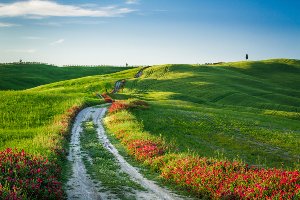 Akustikbild Slim Wegesrand mit Mohn