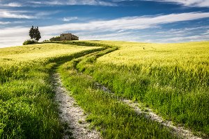 Akustikbild Slim Feldweg 