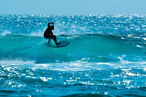 Surfer 
