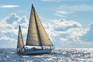 Big Sail 
