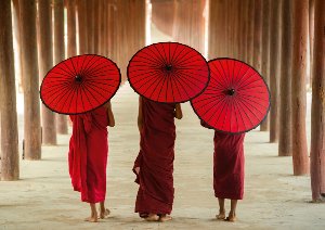 monks with umberlla 