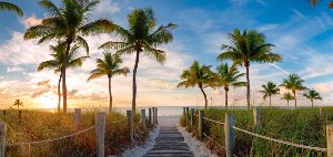 Akustikbild Slim Palmen am Strand