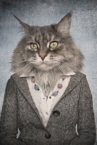 Akustikbild Slim Katzenfrau 
