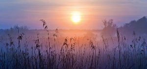 Akustikbild Slim Sonnenaufgang im Nebel