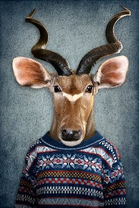 Akustikbild Slim Antilope mit Pulli