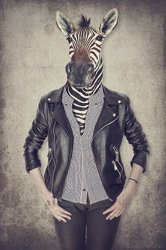 Akustikbild Slim Zebra Gentleman