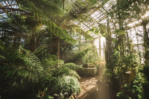 Greenhouse with Slim Reflections
