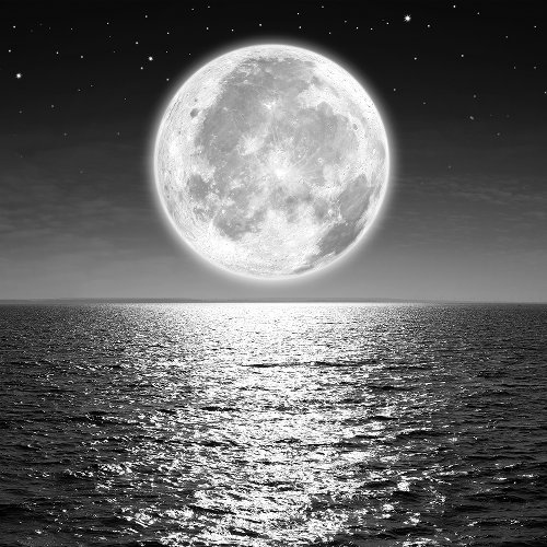 Full moon 