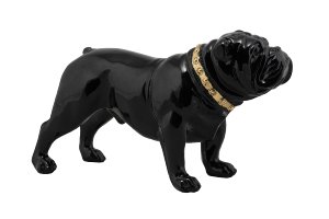 Bulldog à collier doré 