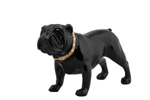 Bulldog with golden collar 