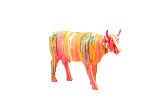 Colorful cow II 