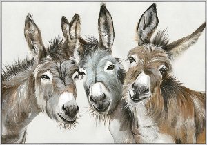 Three Donkeys 