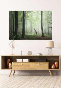 deer in the morning wood 