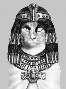 Egyptian cat 