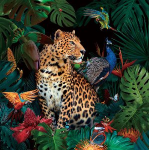 Jaguar dans la jungle 