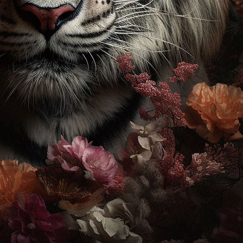 Glasbild Tiger Fowers 