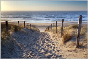 Sandy path to the sea 