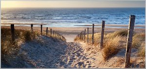 Chemin de sable vers la mer 