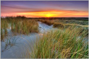 Les dunes au coucher du soleil 