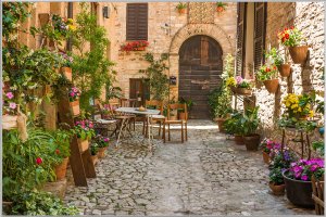 Tuscan streetscape 5 