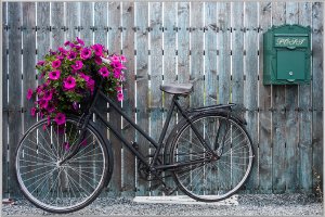 Vélo avec décoration florale 