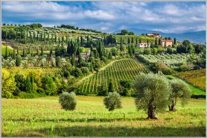 Paysage idyllique de Toscane 